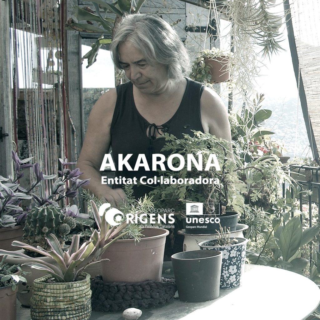 Akarona