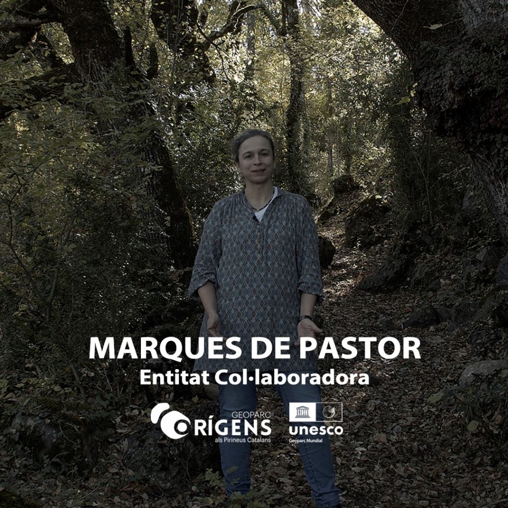 Marques de Pastor - El Cinquè Llac