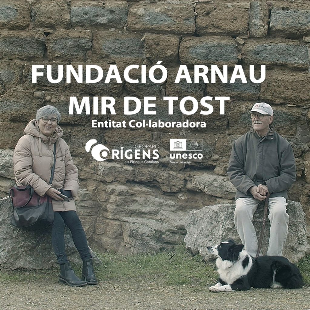 Fundació Arnau Mir de Tost